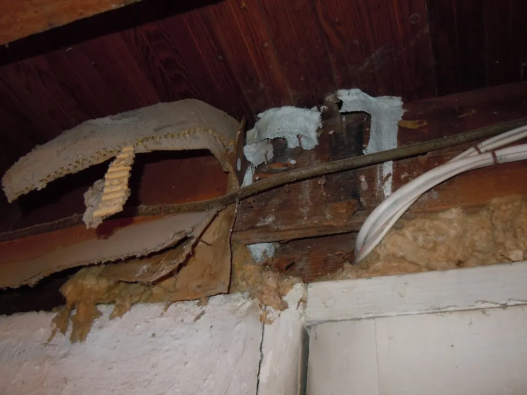 Pale termite mud tubes running along basement ceiling joists and down a wall